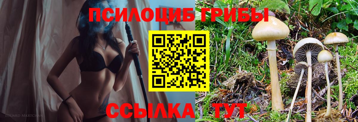 Галлюциногенные грибы мухоморы  Псилоцибиновые грибы Psilocybe  Северобайкальск  Вход с VPN 